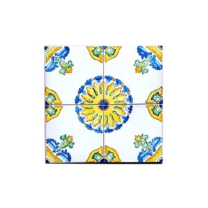 Piastrella 20 x 20 cm con  spessore 1 cm decoro: Evolution