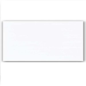 Piastrella 10 x 20 cm con spessore 1 cm Bianco
