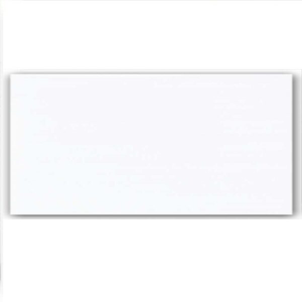 Piastrella 10 x 20 cm con  spessore 1 cm Bianco